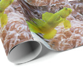 Cryptocentus cinctus ラッピングペーパー (ロールコーナー)