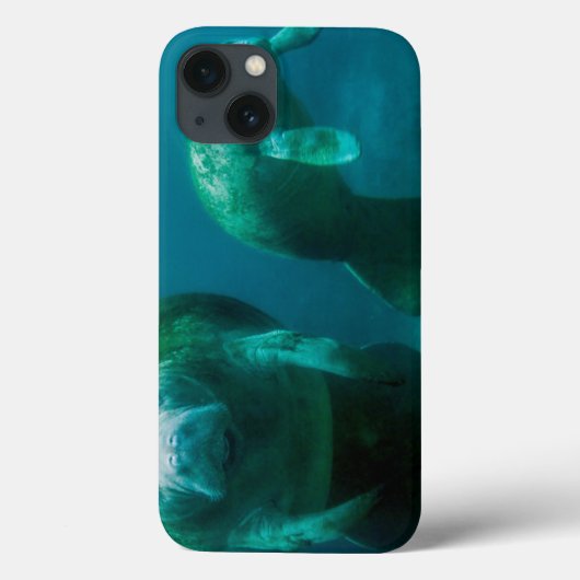 Crystal川の彼女の子牛を持つ母マナティー Case-Mate iPhoneケース (裏面)