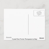 Crystal川フロリダ ポストカード (裏面)