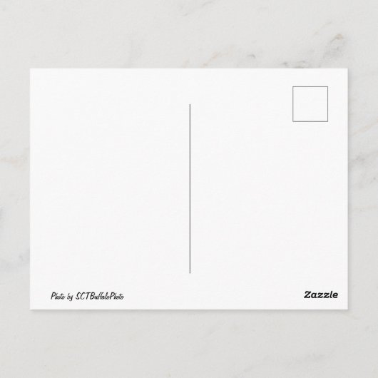 Crystal Clear Postcard ポストカード (裏面)