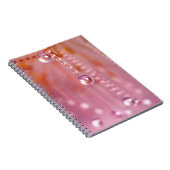 Crystal Notebookにサンセット ノートブック (右側)