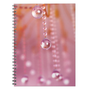 Crystal Notebookにサンセット ノートブック