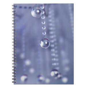 Crystal NotebookのTwilight ノートブック