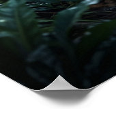 Crystal Panther Night Glow ポスター (角)