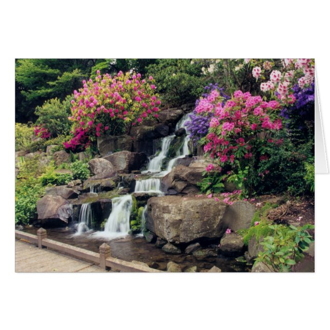 Crystal Springsの庭2 (正面横)