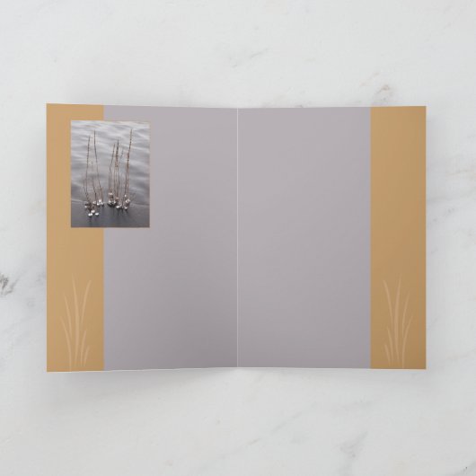 Crystaline端 カード (内部)