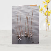 Crystaline端 カード (黄色い花)