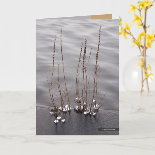 Crystaline端 カード (黄色い花)