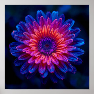 Crystalline Cascade ポスター