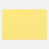 CSAエレガントギフト包装シート ラッピングペーパーシート (正面3)