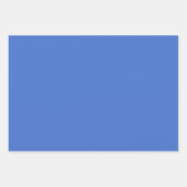 CSAエレガントギフト包装シート ラッピングペーパーシート (正面3)