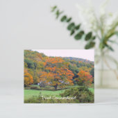 CTを参照 ポストカード (スタンド正面)