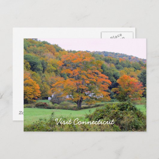 CTを参照 ポストカード (正面/裏面)