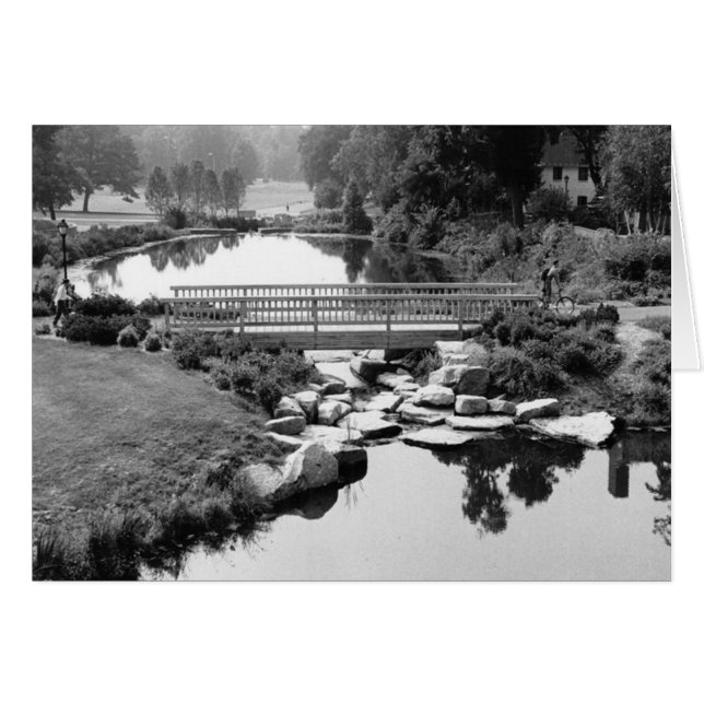 CTカードの橋 (正面横)