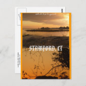 CTスタンフォード ポストカード (正面/裏面)