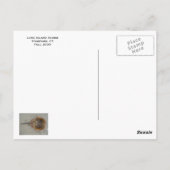 CTスタンフォード ポストカード (裏面)