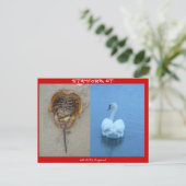 CTスタンフォード ポストカード (スタンド正面)