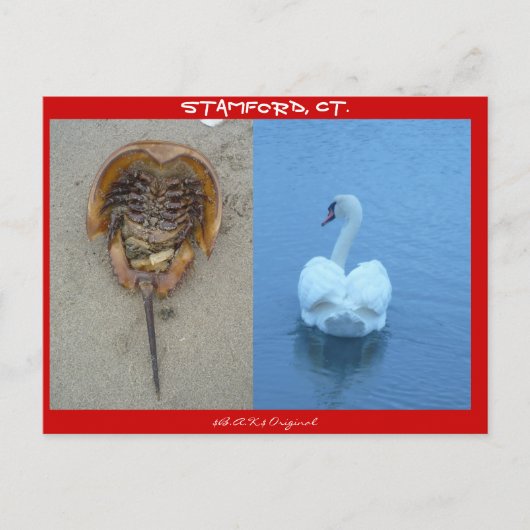 CTスタンフォード ポストカード (正面)