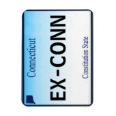 CTライセンスプレート磁石 マグネット (縦)