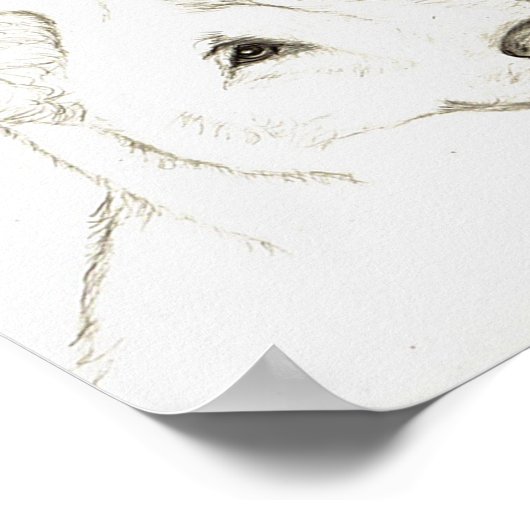 CT ポスター (角)