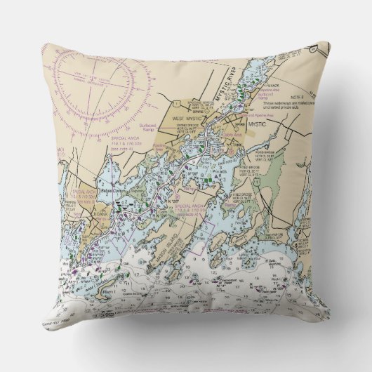 CT_Mystic12372 クッション (裏面)