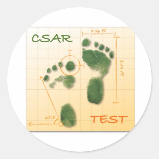 CTF FTE ラウンドシール (正面)