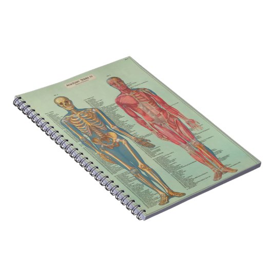 Cuaderno - Anatomía ノートブック (右側)