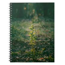 Cuaderno con fotografía de naturaleza