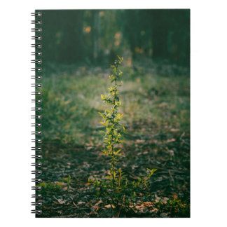 Cuaderno con fotografía de naturaleza ノートブック