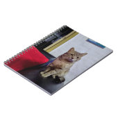 Cuaderno de fotos 16,5 x 22 cm; 80 paginas ノートブック (左側)
