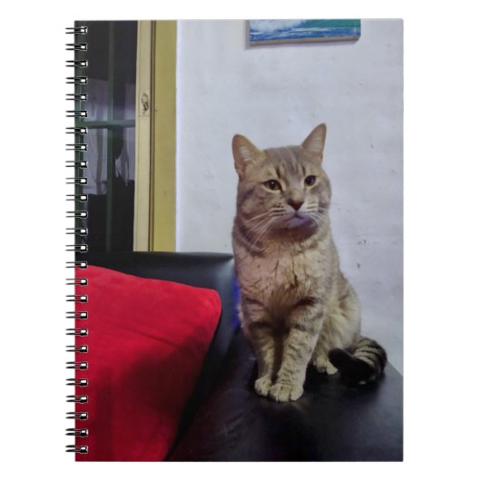 Cuaderno de fotos 16,5 x 22 cm; 80 paginas ノートブック (正面)