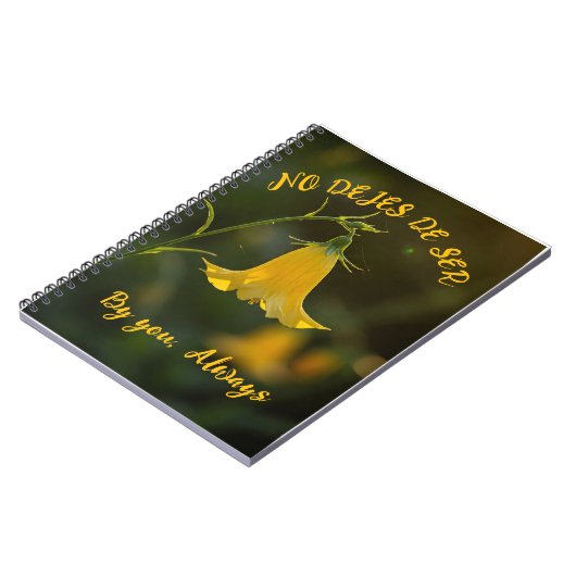 Cuaderno F.C.Amarilla ノートブック (左側)