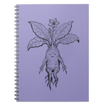 Cuaderno Mandrágora