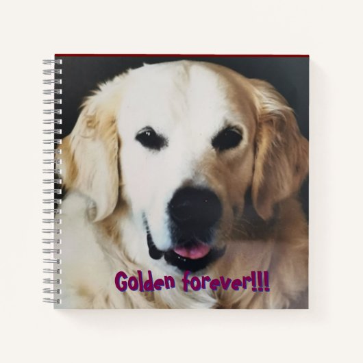 Cuaderno para amantes del Golden Retriever ノートブック (正面)