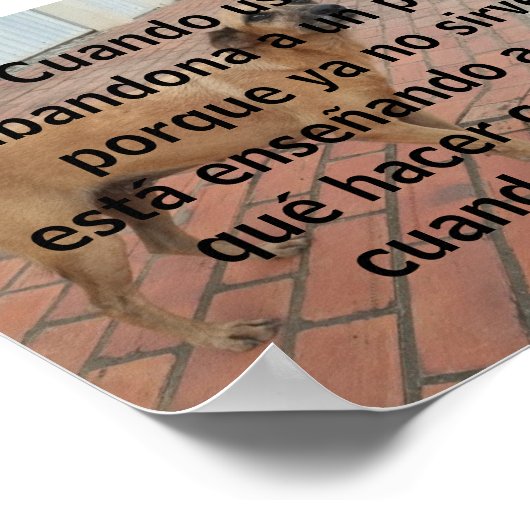 cuandoは国連ペルロを放棄した ポスター (角)