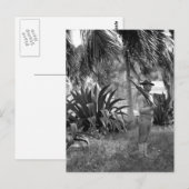Cuba, Guantanamo Sentry below palms_War Image ポストカード (正面/裏面)
