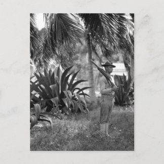 Cuba, Guantanamo Sentry below palms_War Image ポストカード