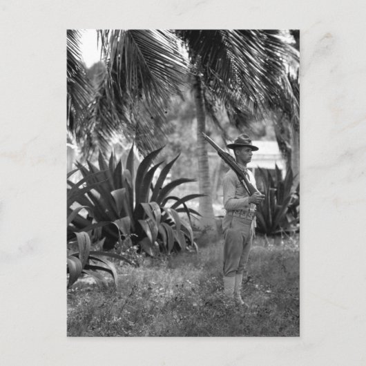 Cuba, Guantanamo Sentry below palms_War Image ポストカード (正面)