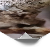 Cuban tody ポスター (角)