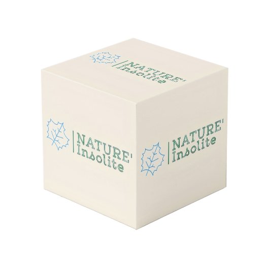 Cube "logo" 10cm フォトキューブ (正面アングル)