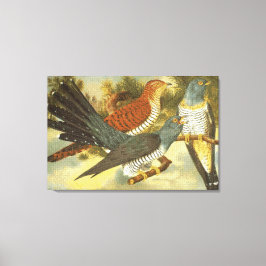 Cuckoo Birds モダン with Art Canvas Print キャンバスプリント