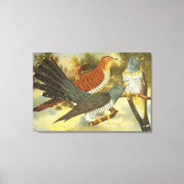 Cuckoo Birds モダン with Art Canvas Print キャンバスプリント