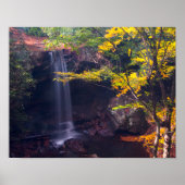 Cucumber Falls, Ohiopyle state park, Pennsylvania ポスター (正面)
