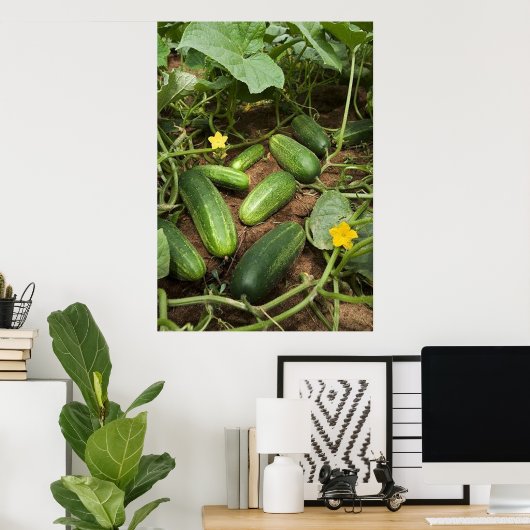 Cucumber Patch Poster (in many sizes) ポスター (ホームオフィス)