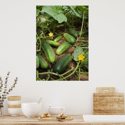 Cucumber Patch Poster (in many sizes) ポスター (キッチン)