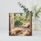 Cucumbers prank on wrong カード (スタンド正面)