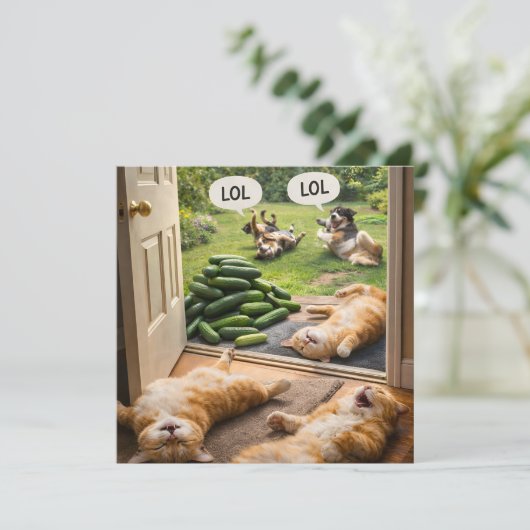 Cucumbers prank on wrong カード (スタンド正面)