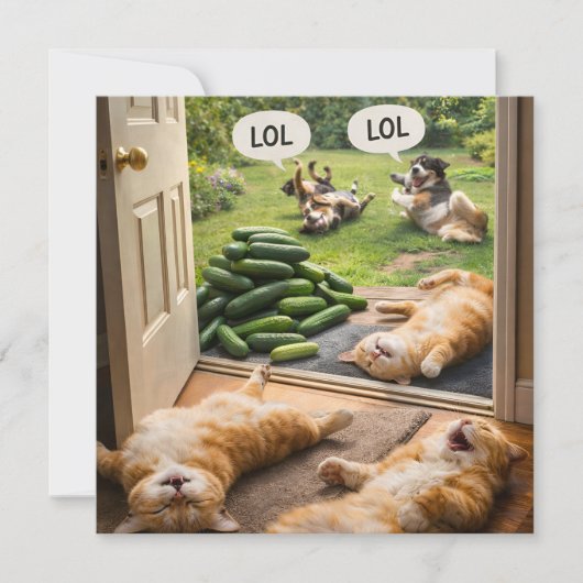 Cucumbers prank on wrong カード (正面)