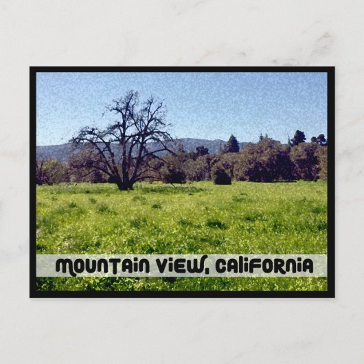 Cuesta Park Annex, Mountain View，カリフォルニア ポストカード (正面)