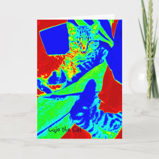 Cujo the Cat Technolor シーズンカード (正面)